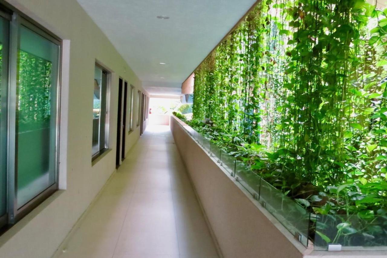 Palmarena Rooms & Residences - Long Stay Comfort With Parking, Sauna, Gym & Pool - Steps From 5Th Avenue 신데 델 카르멘 외부 사진