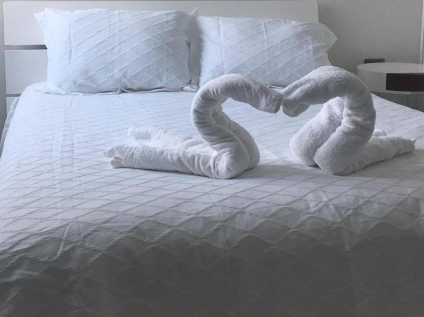 Palmarena Rooms & Residences - Long Stay Comfort With Parking, Sauna, Gym & Pool - Steps From 5Th Avenue 신데 델 카르멘 외부 사진