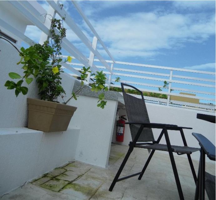 Palmarena Rooms & Residences - Long Stay Comfort With Parking, Sauna, Gym & Pool - Steps From 5Th Avenue 신데 델 카르멘 외부 사진