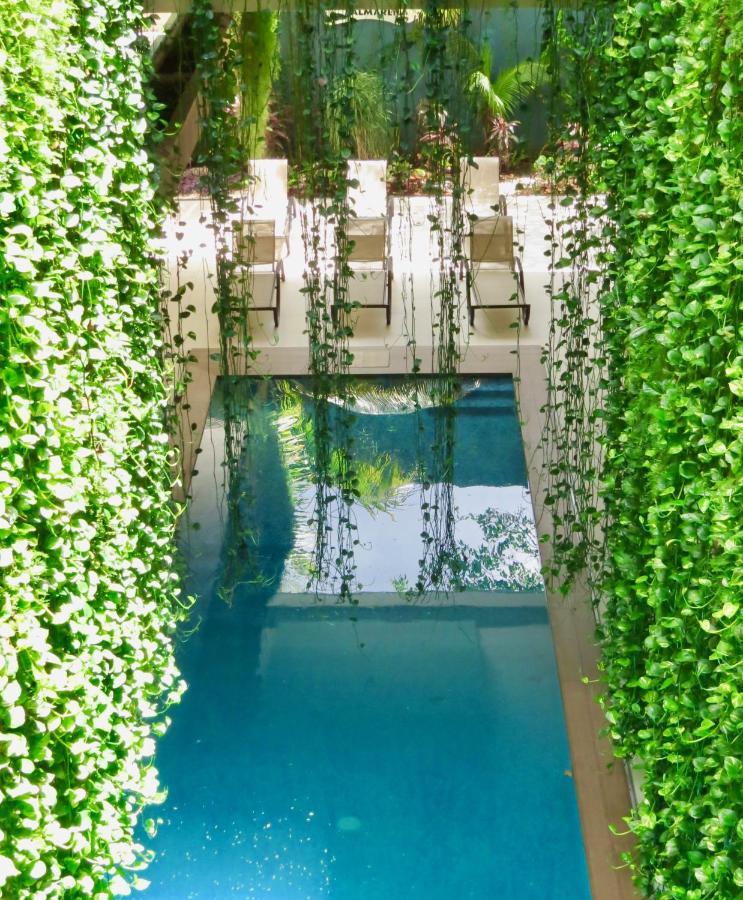 Palmarena Rooms & Residences - Long Stay Comfort With Parking, Sauna, Gym & Pool - Steps From 5Th Avenue 신데 델 카르멘 외부 사진
